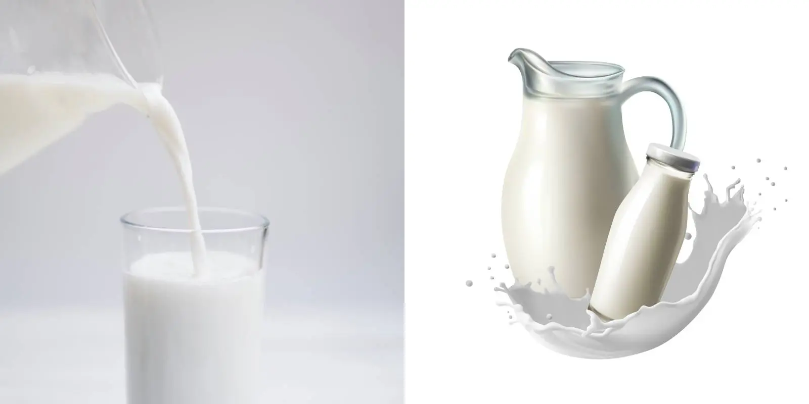 Susu Kambing Pasteurisasi: Cara Menyimpan Susu Kambing Pasteurisasi Tetap Segar