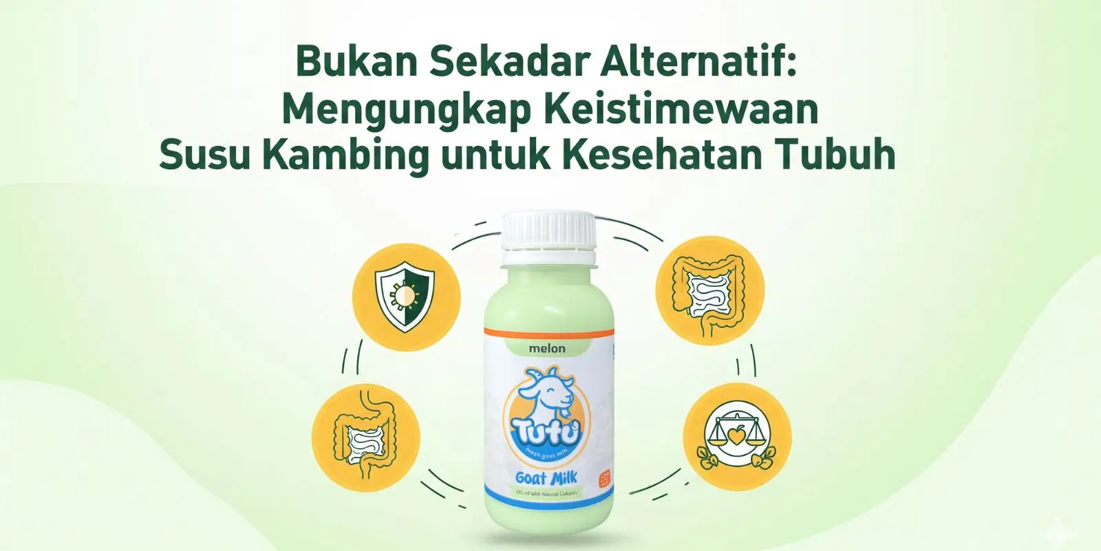 Bukan Sekadar Alternatif: Mengungkap Keistimewaan Susu Kambing untuk Kesehatan Tubuh