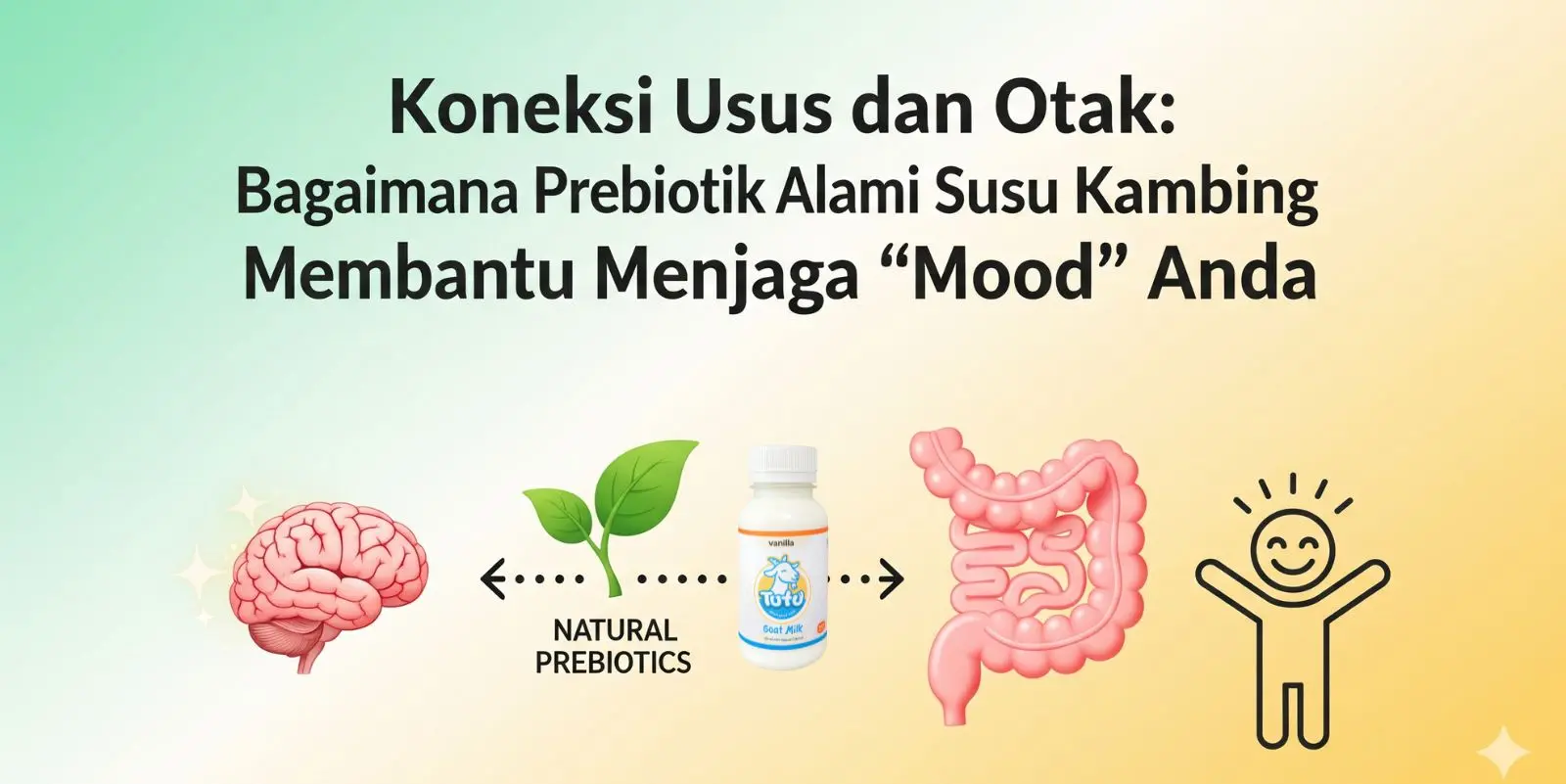 Koneksi Usus dan Otak: Mengapa Makanan Sehat Terbukti Bikin ‘Mood’ Lebih Baik