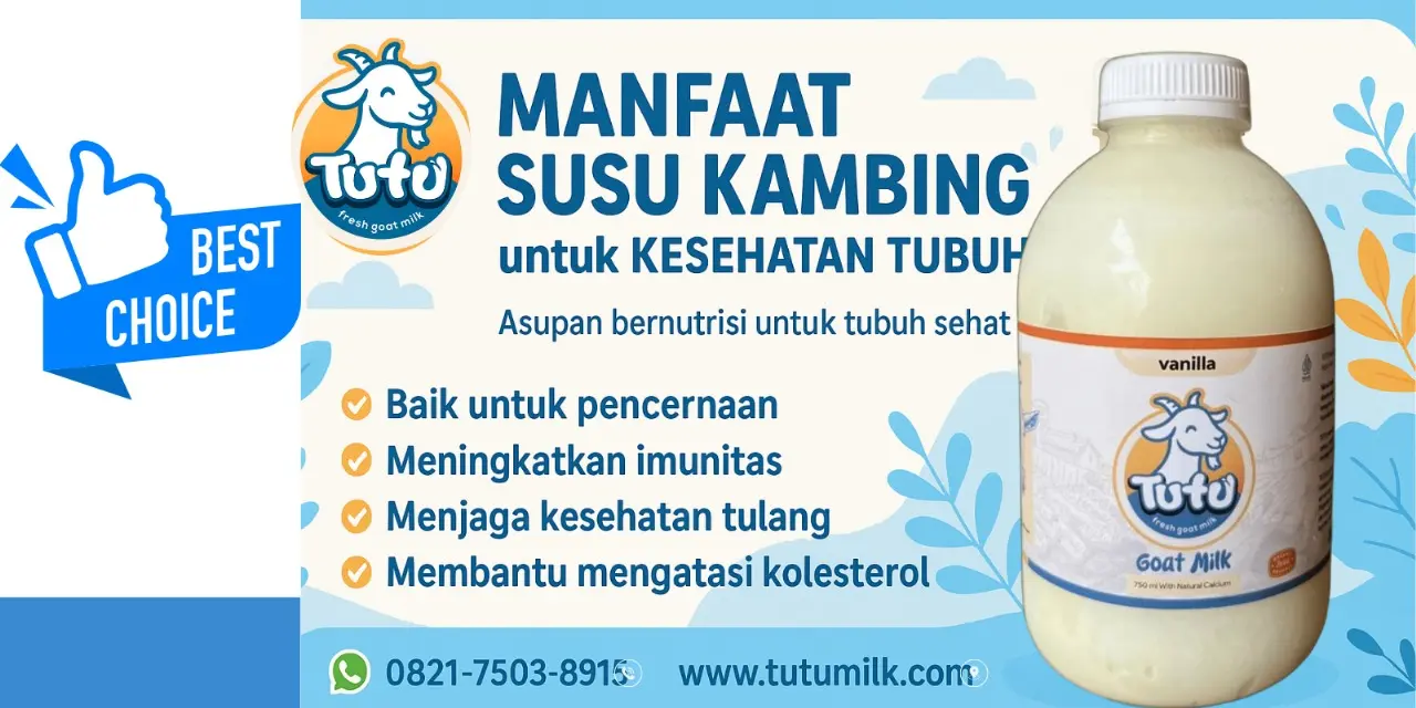 Susu Kambing Terbaik untuk Kesehatan