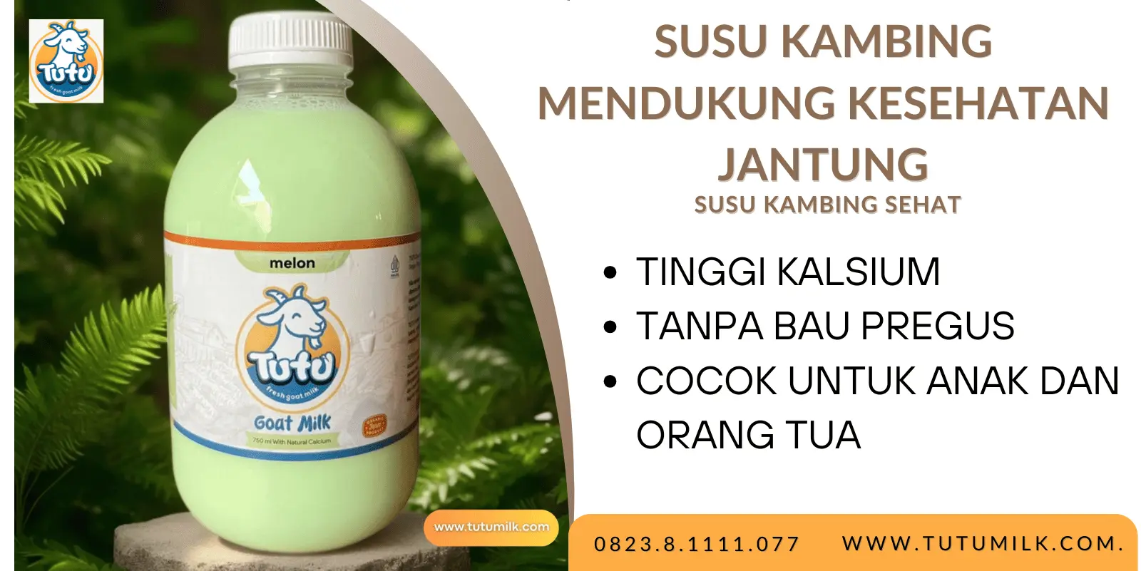 Susu kambing menduku.