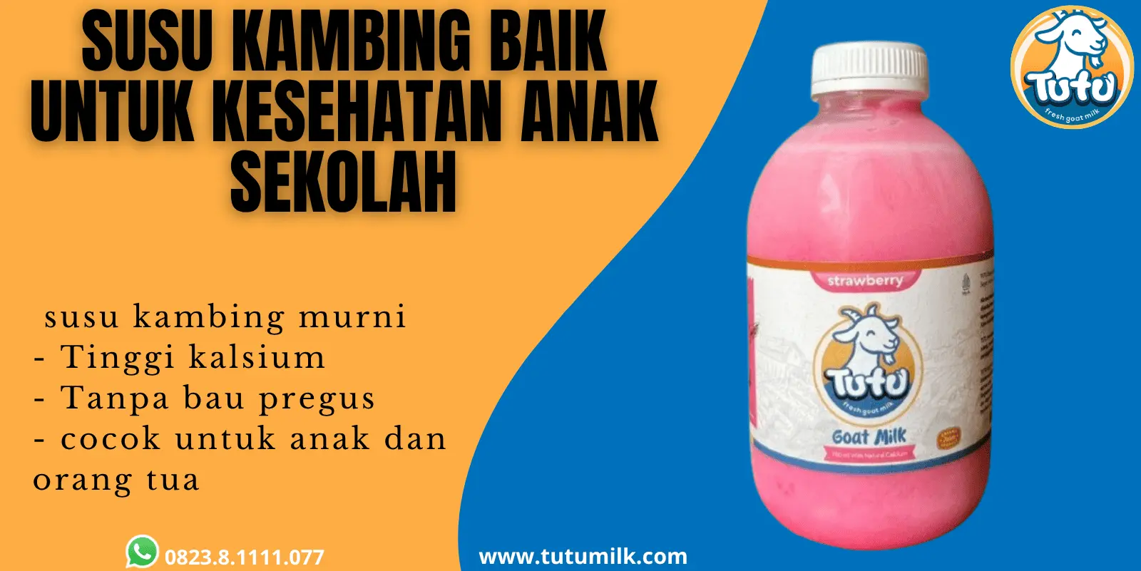 Susu kambing baik un.