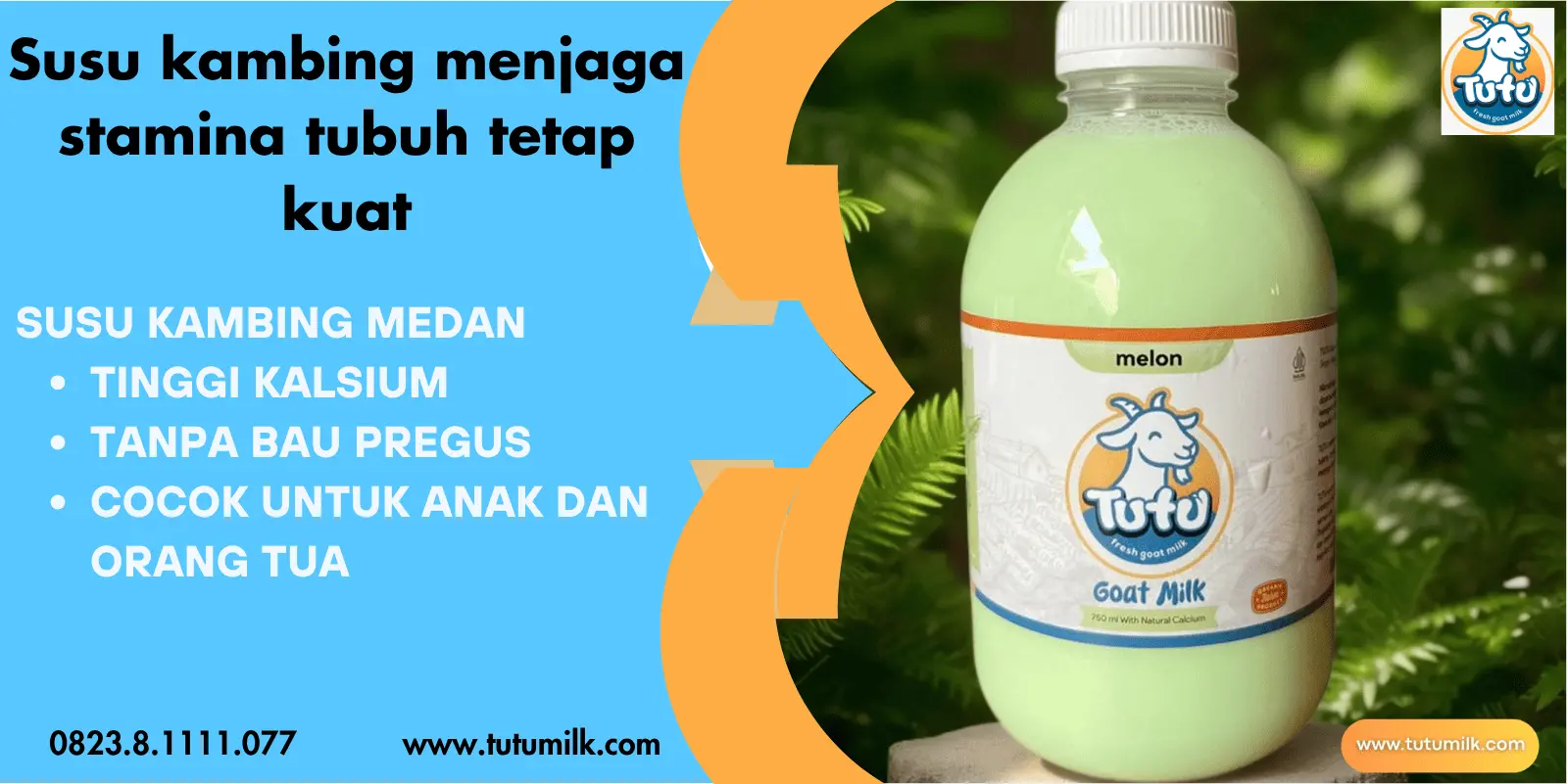 Susu kambing menjaga.