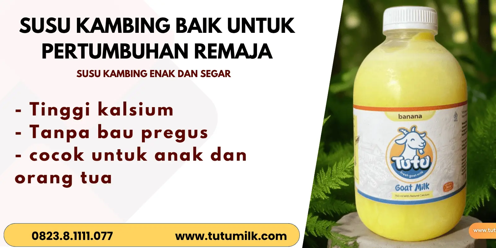 Susu kambing baik un.