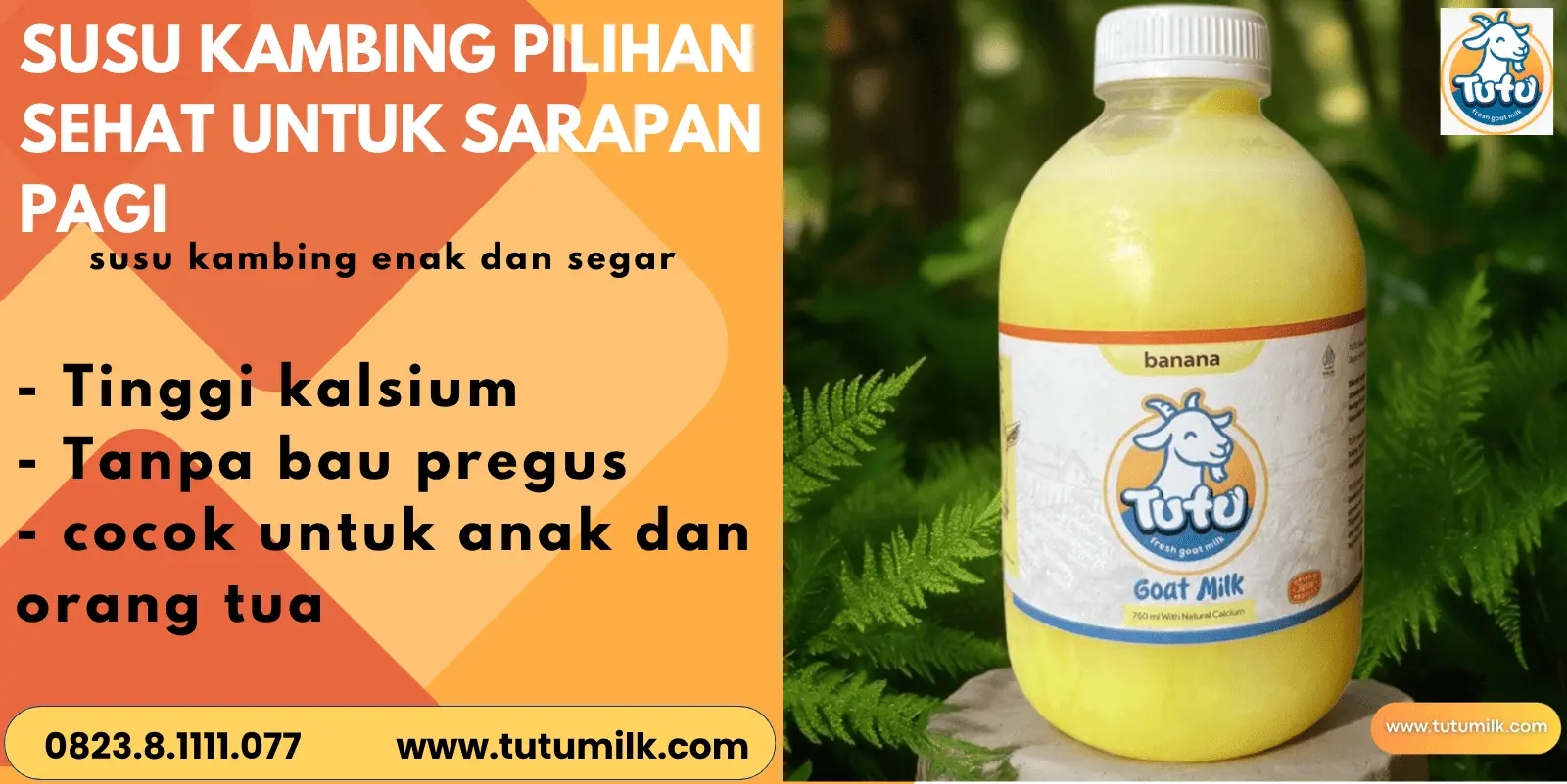 Susu kambing pilihan.