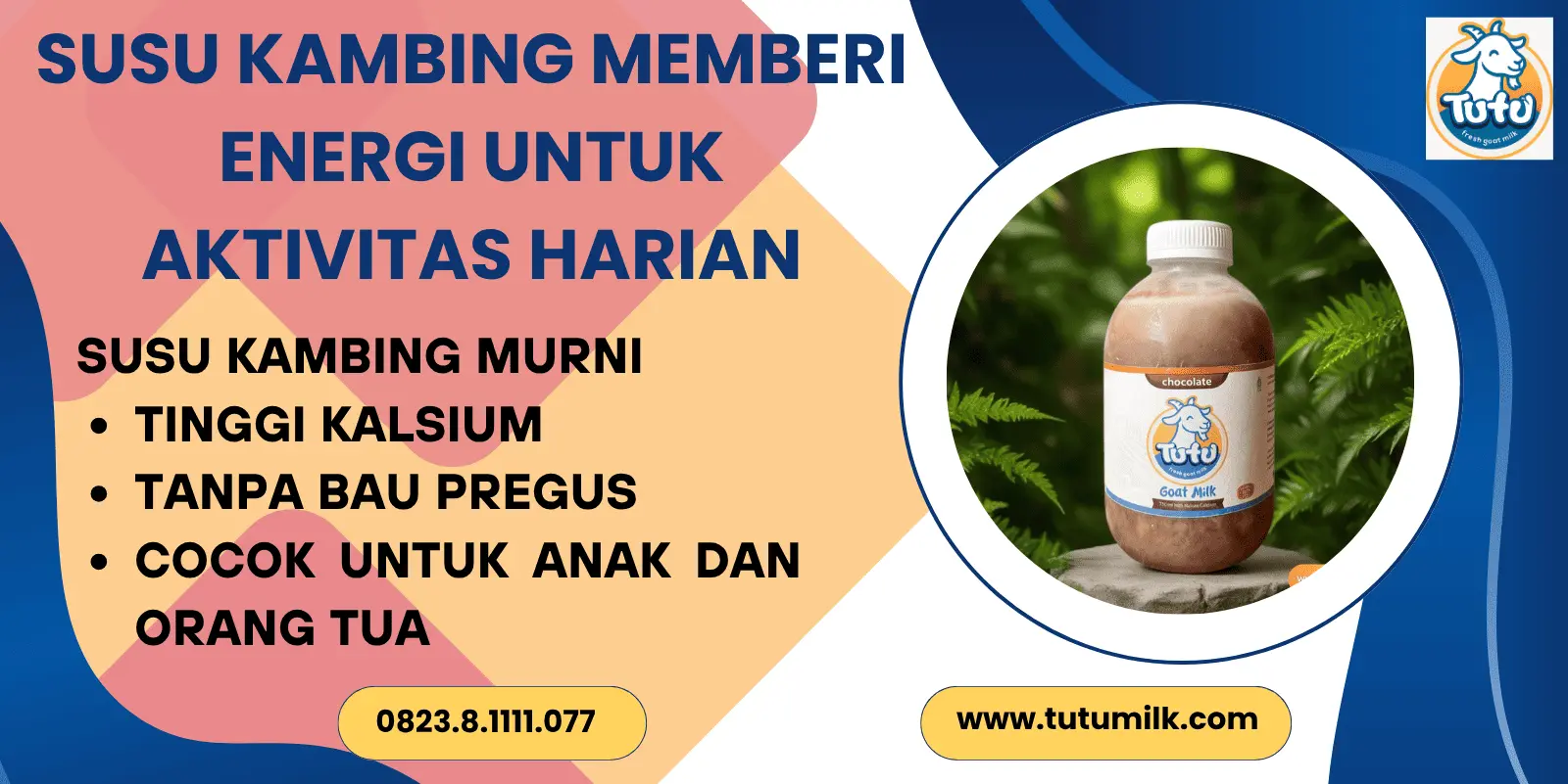 Susu kambing menjaga.