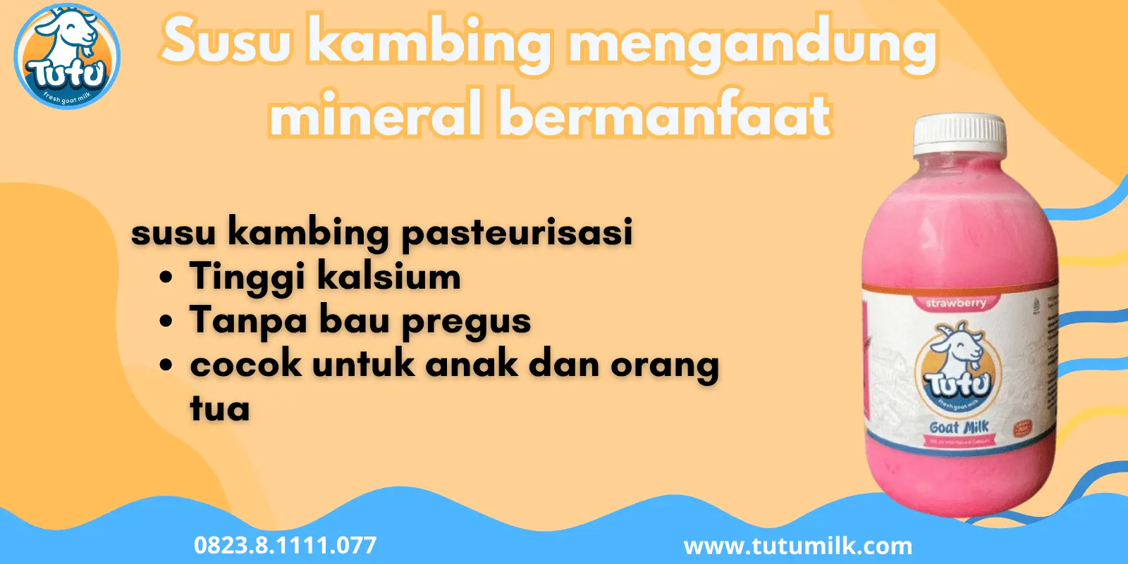 Susu kambing mengandung mineral bermanfaat