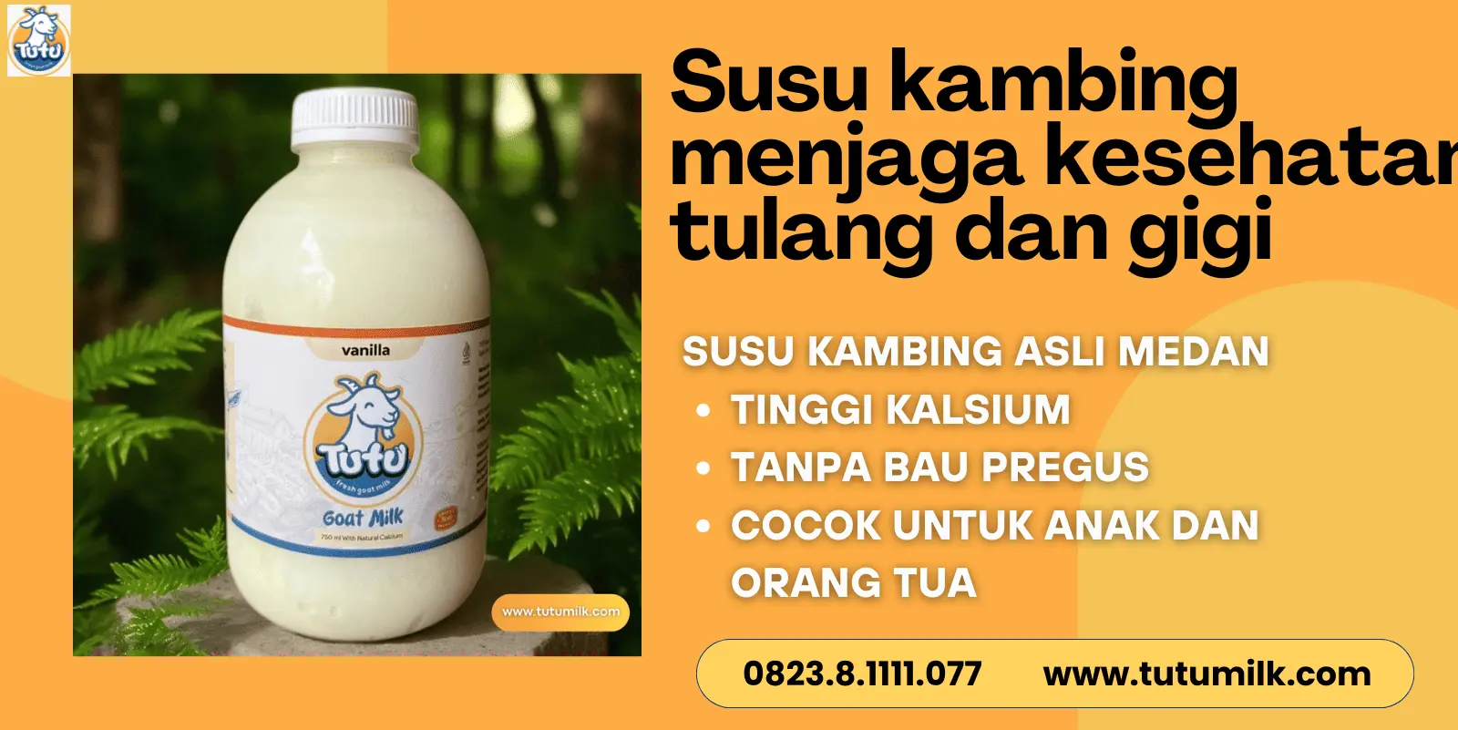 Susu kambing menjaga.