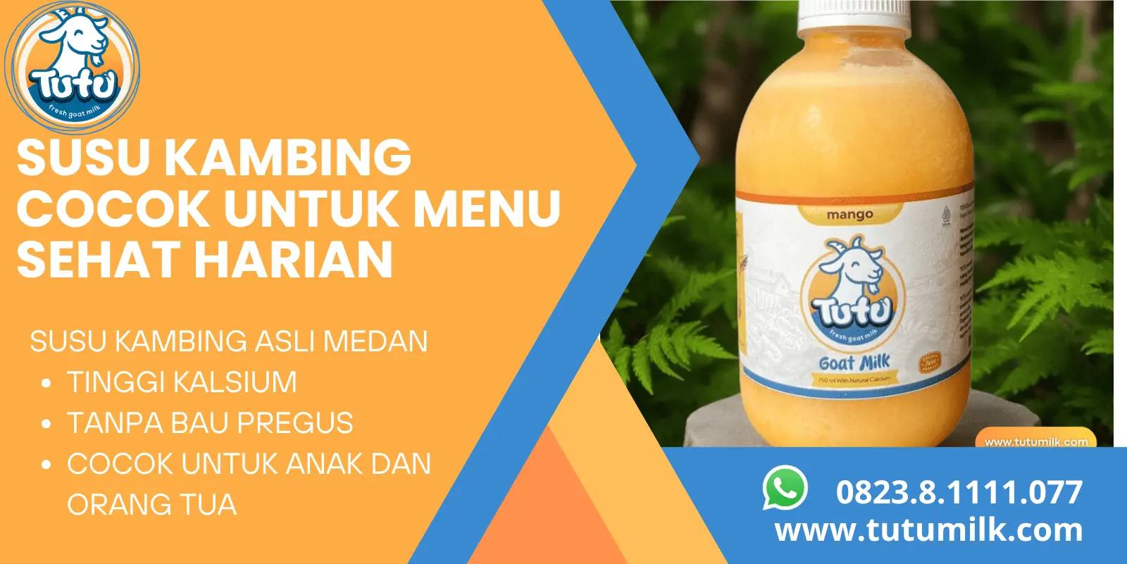 Susu kambing cocok u.