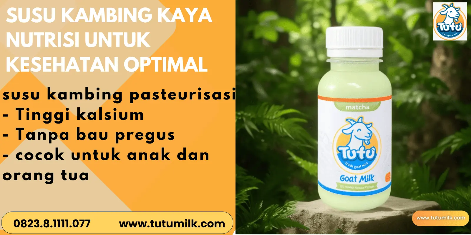 Susu kambing kaya nu.