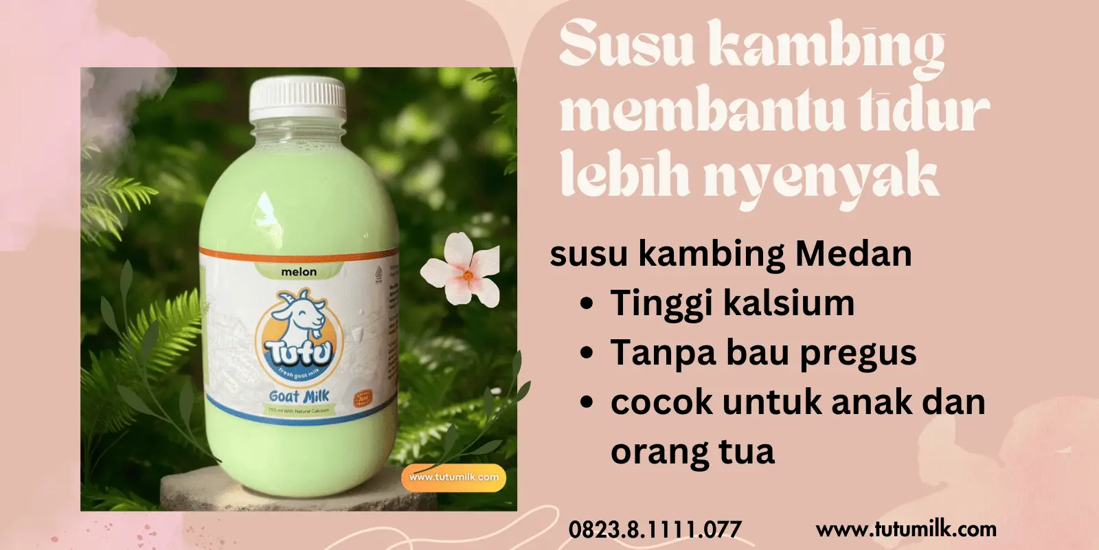 Susu kambing membant.