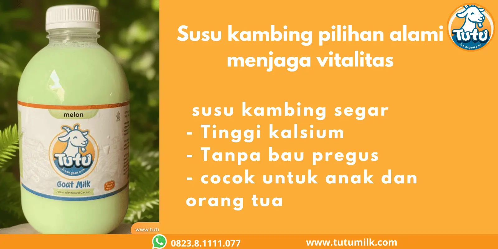 Susu kambing pilihan.