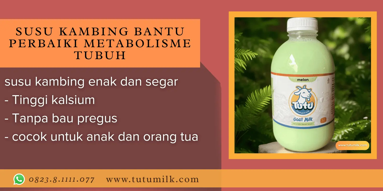 Susu kambing bantu p.