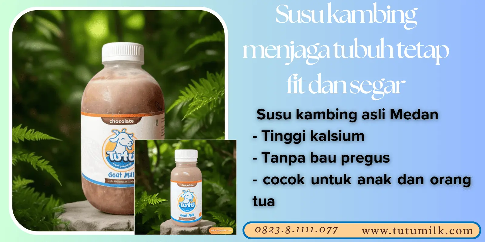 Susu kambing menjaga.