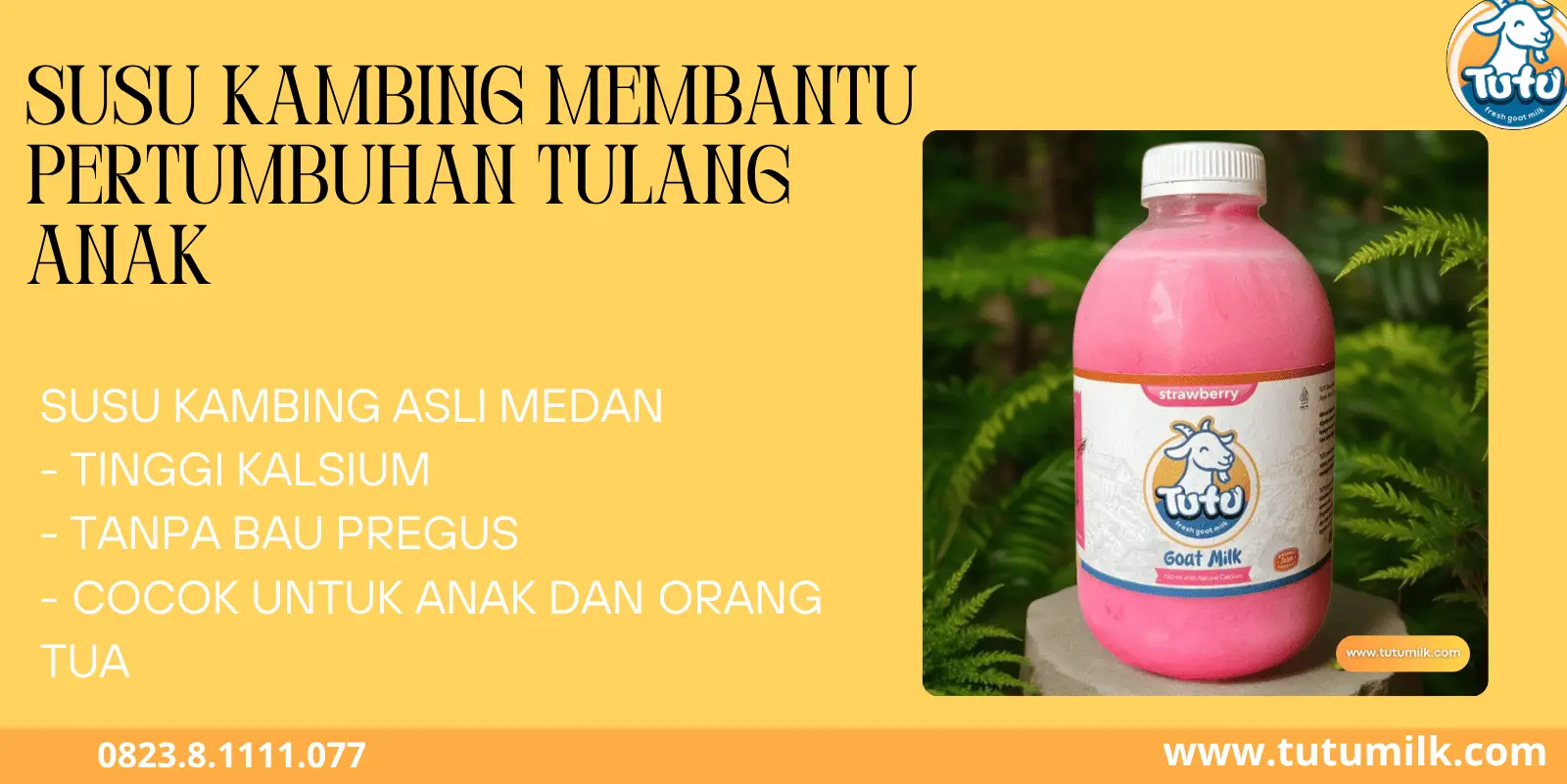 Susu kambing membant.