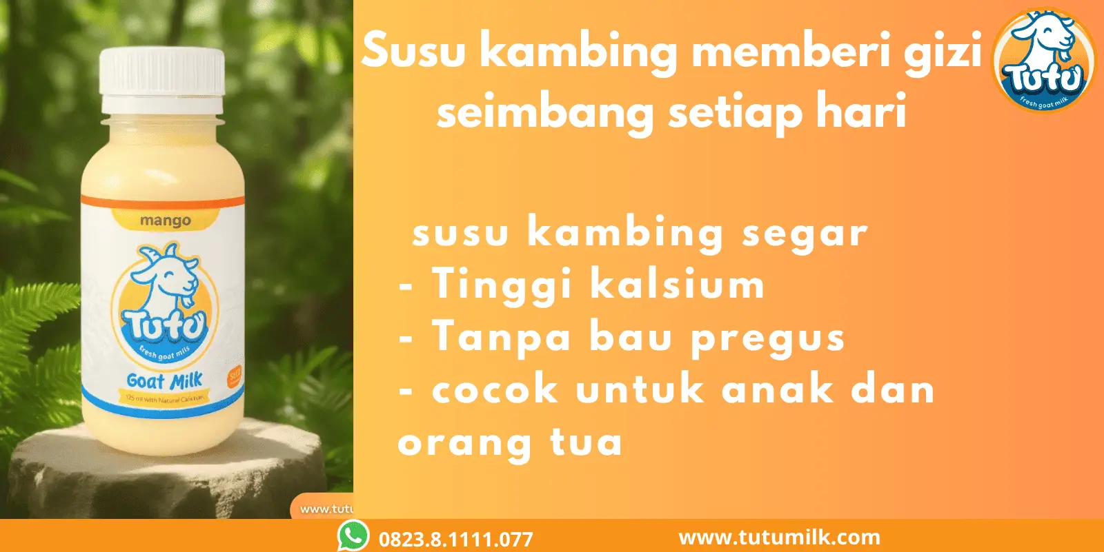 Susu kambing memberi.