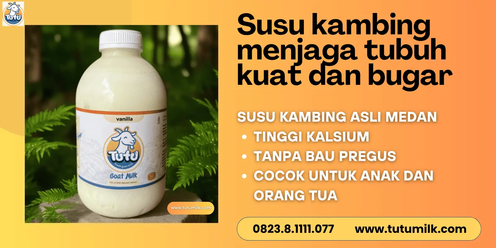 Susu kambing menjaga tubuh kuat dan bugar