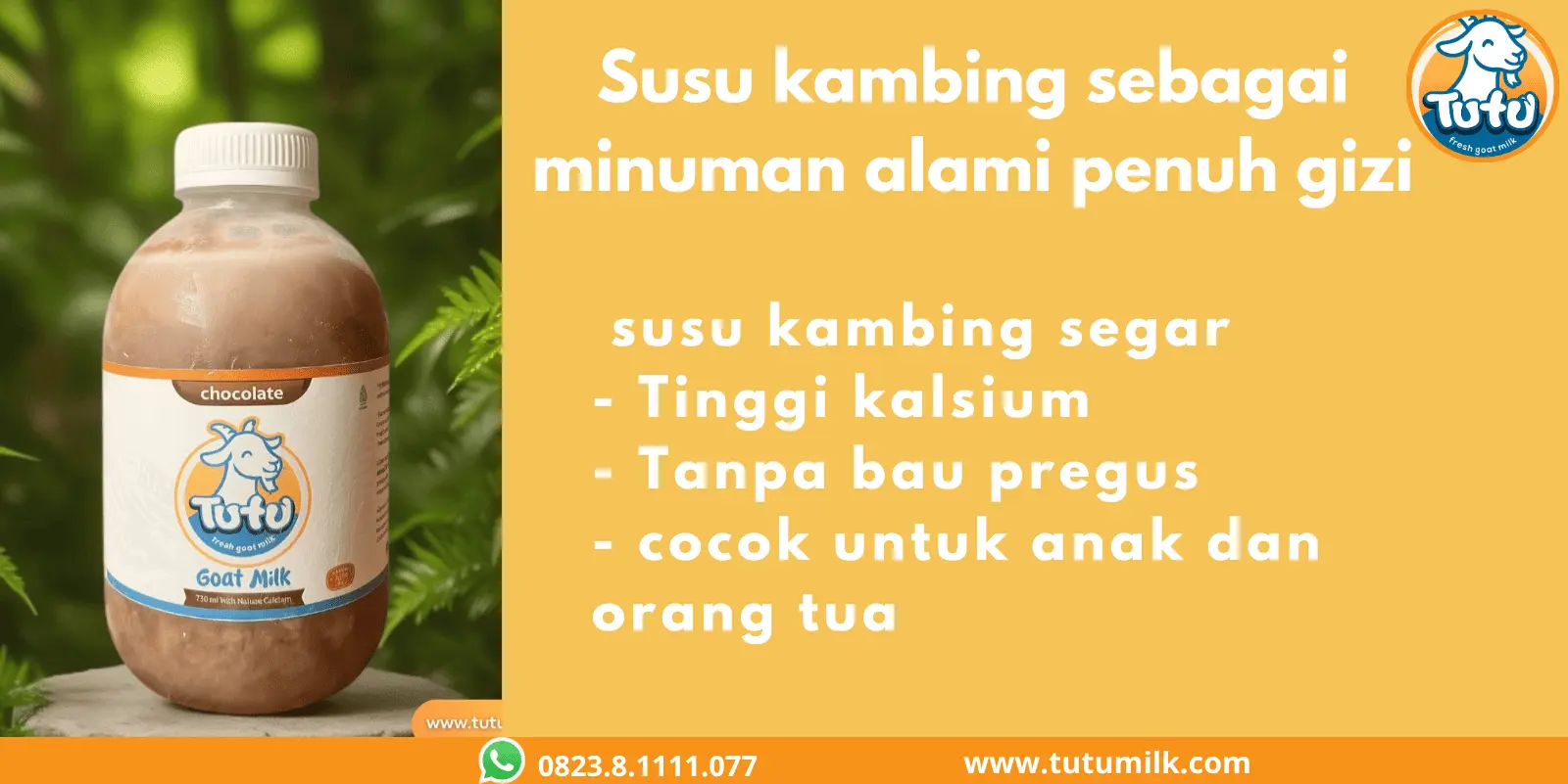 Susu kambing sebagai minuman alami penuh gizi