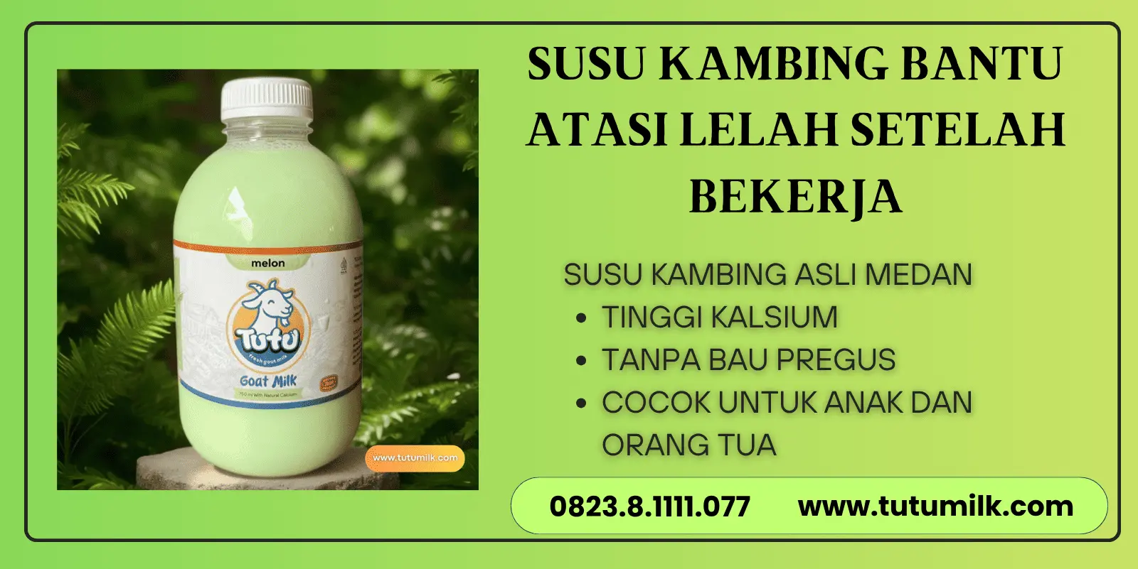 Susu kambing bantu a.