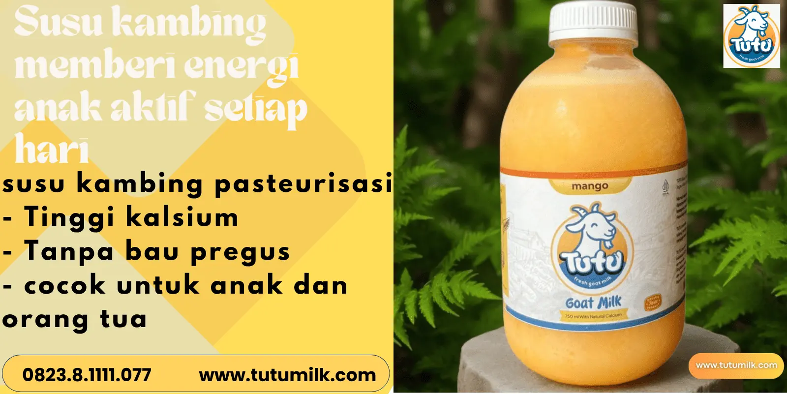 Susu kambing memberi energi anak aktif setiap hari