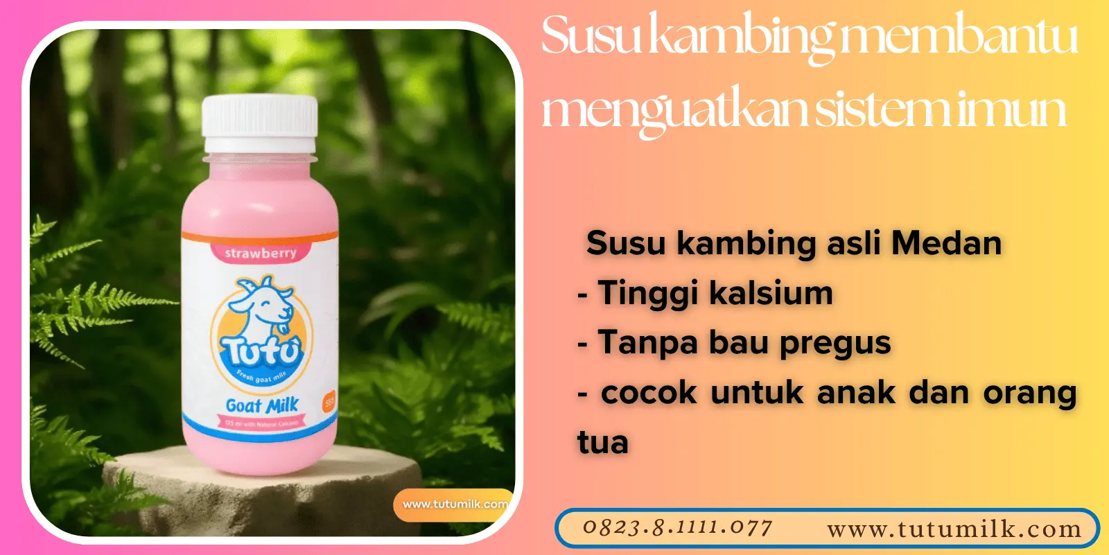 Susu kambing membant.