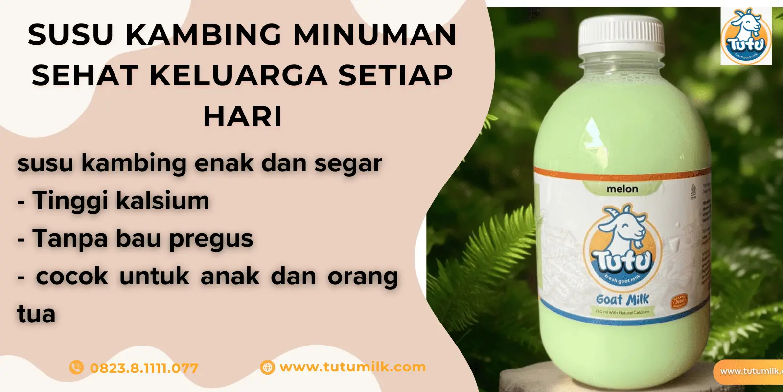 Susu kambing minuman.