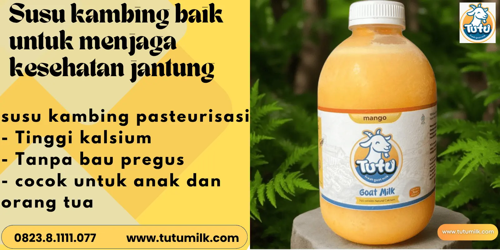 Susu kambing baik un.