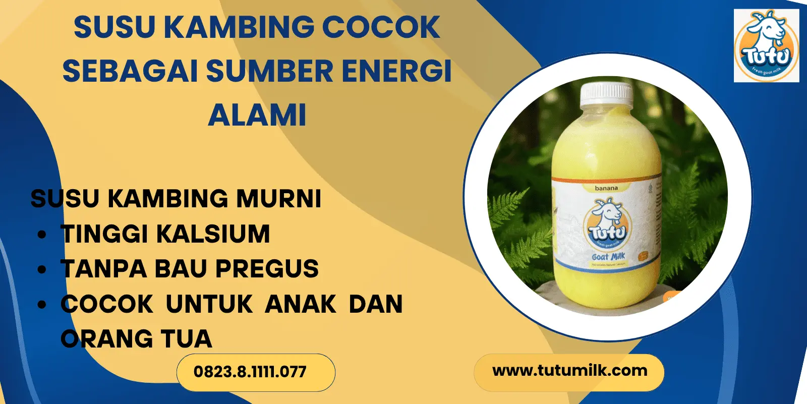 Susu kambing cocok s.
