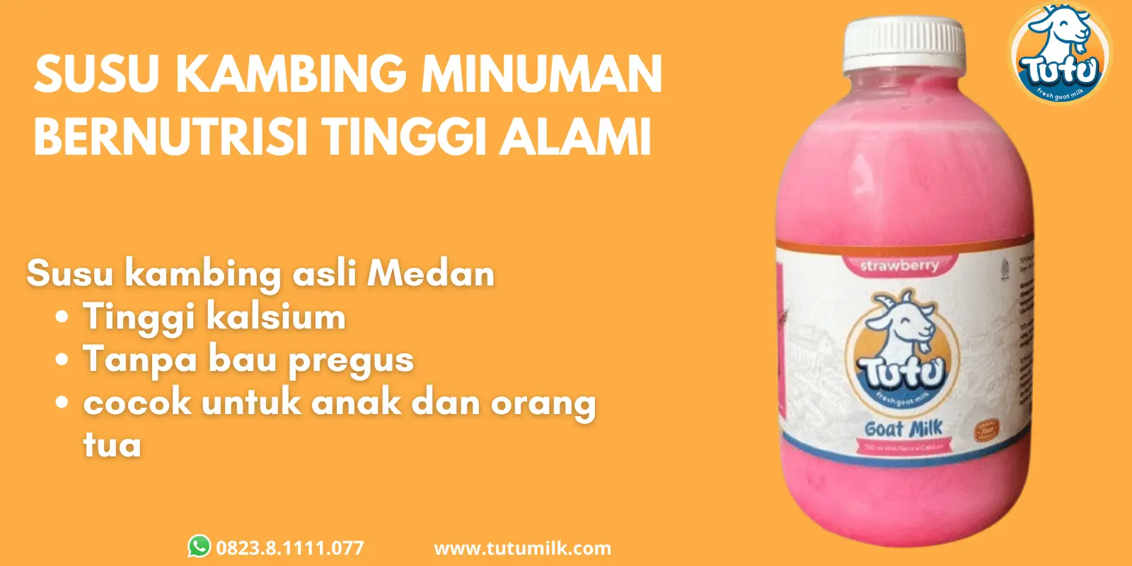 Susu kambing minuman.