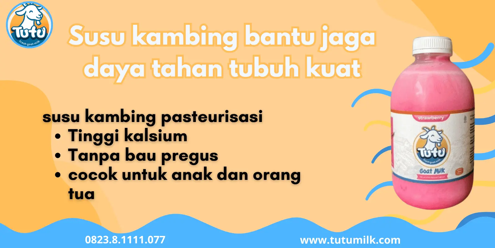 Susu kambing bantu j.