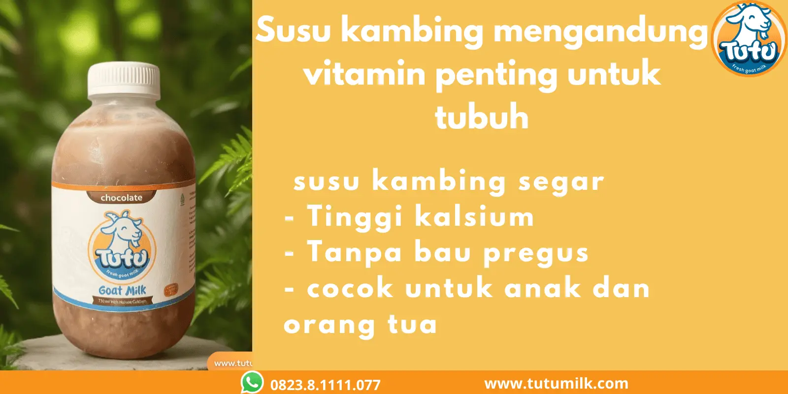 Susu kambing mengandung vitamin penting untuk tubuh