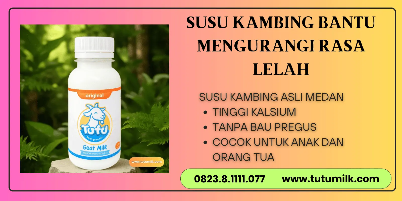 Susu kambing bantu m.