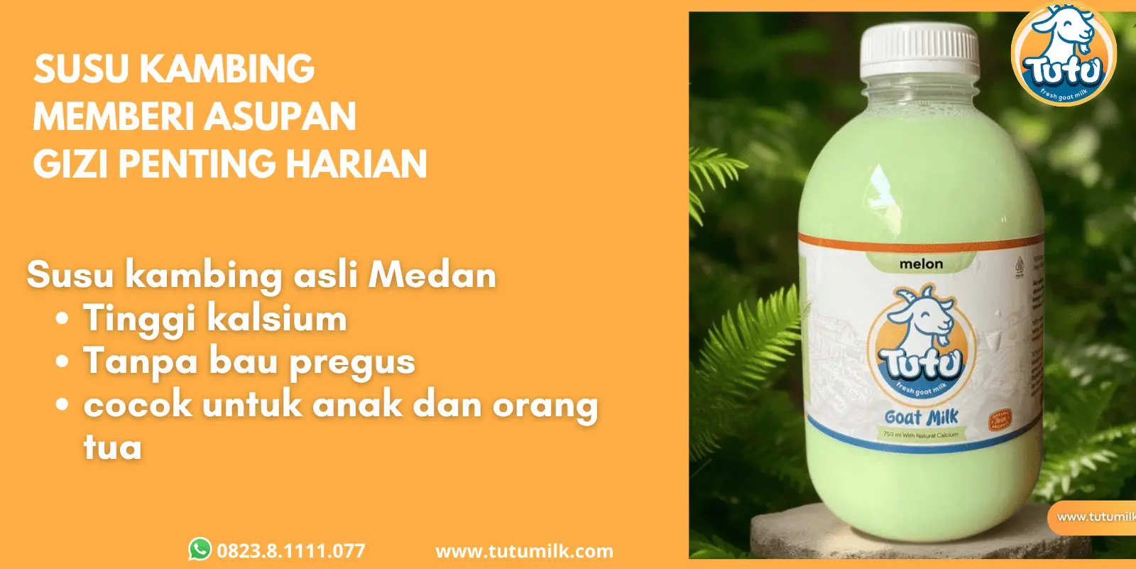 Susu kambing memberi asupan gizi penting harian