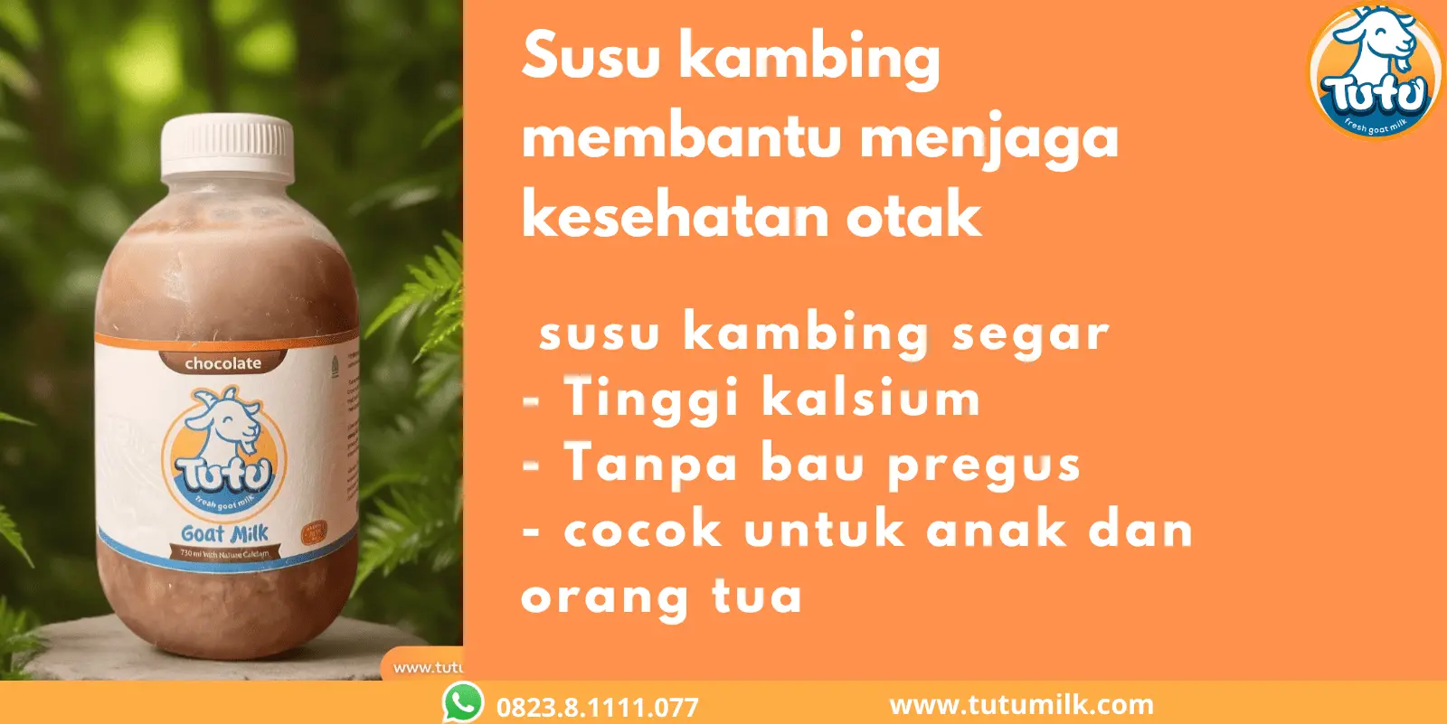 Susu kambing membantu menjaga kesehatan otak