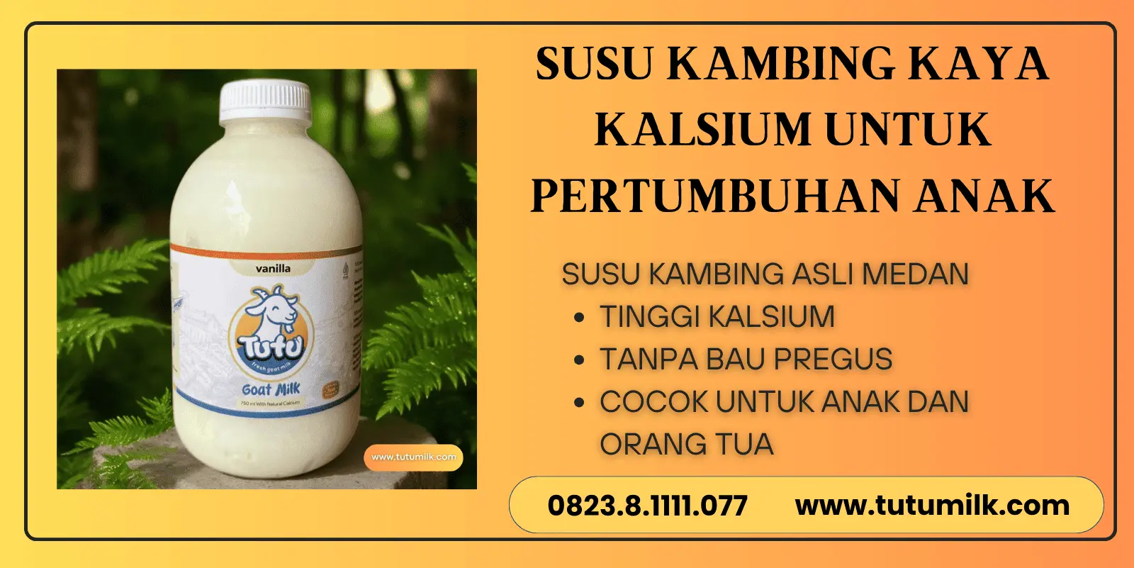 Susu kambing kaya kalsium untuk pertumbuhan anak