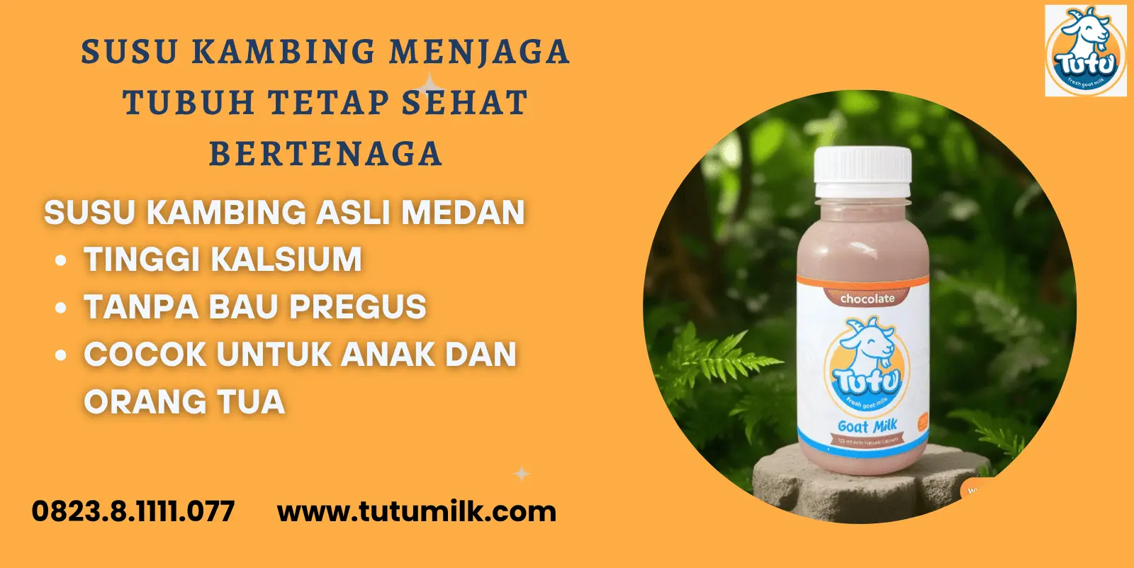 Susu kambing menjaga tubuh tetap sehat bertenaga