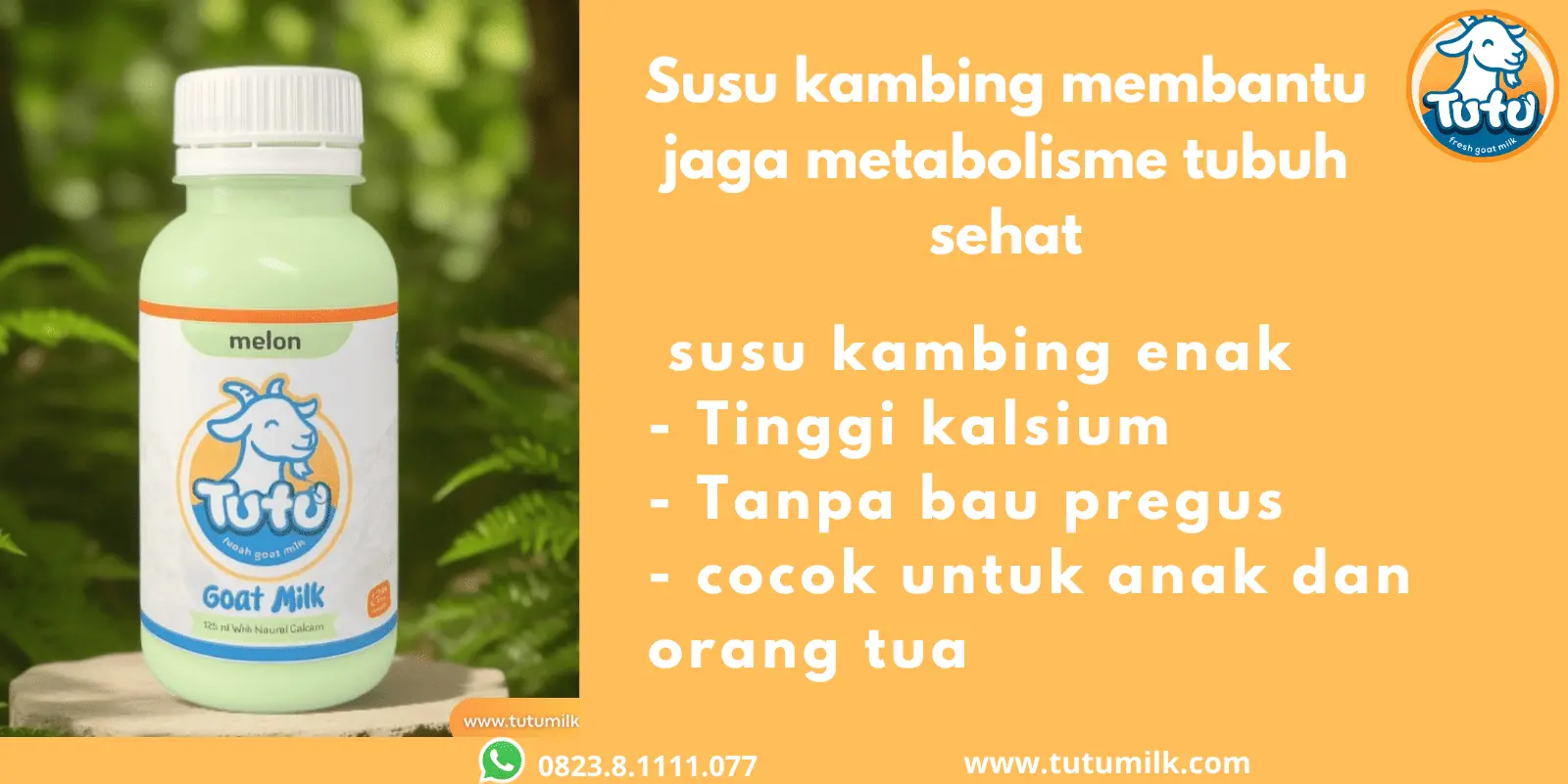 Susu kambing membantu jaga metabolisme tubuh sehat