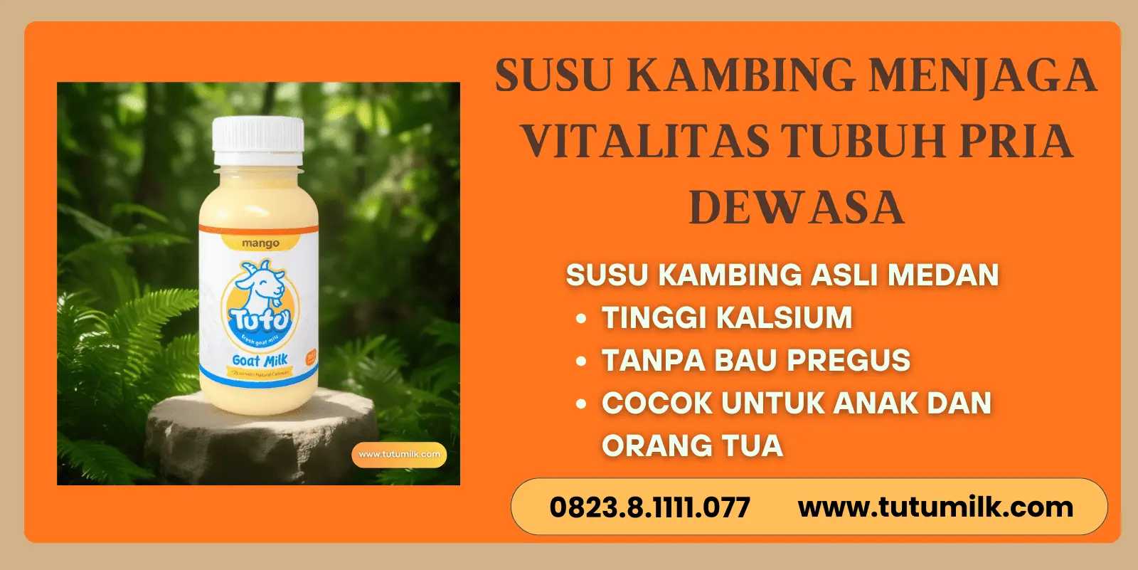 Susu kambing menjaga vitalitas tubuh pria dewasa
