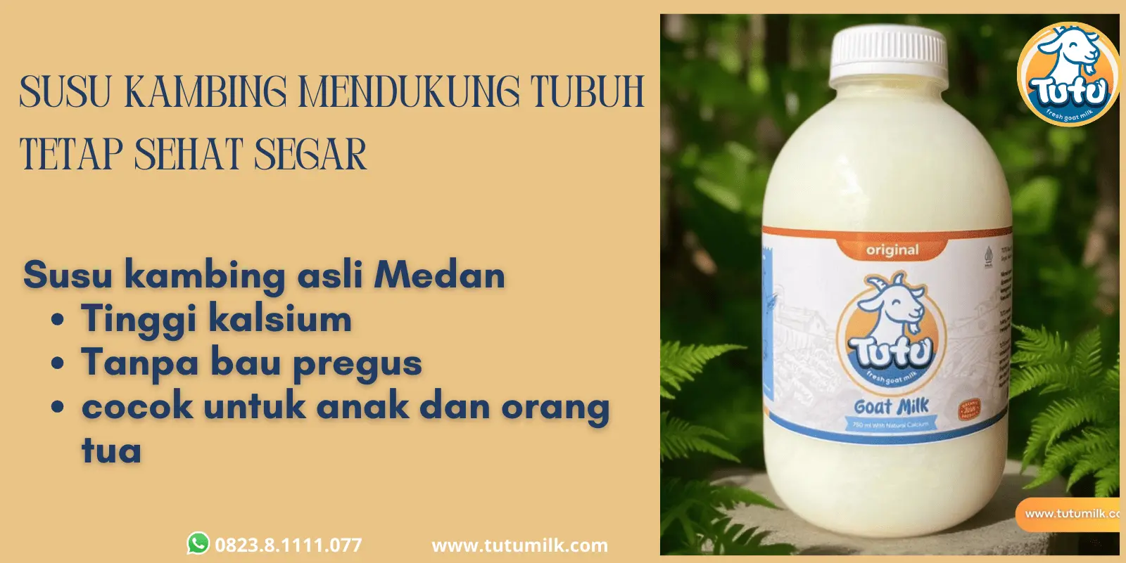 Susu kambing mendukung tubuh tetap sehat segar