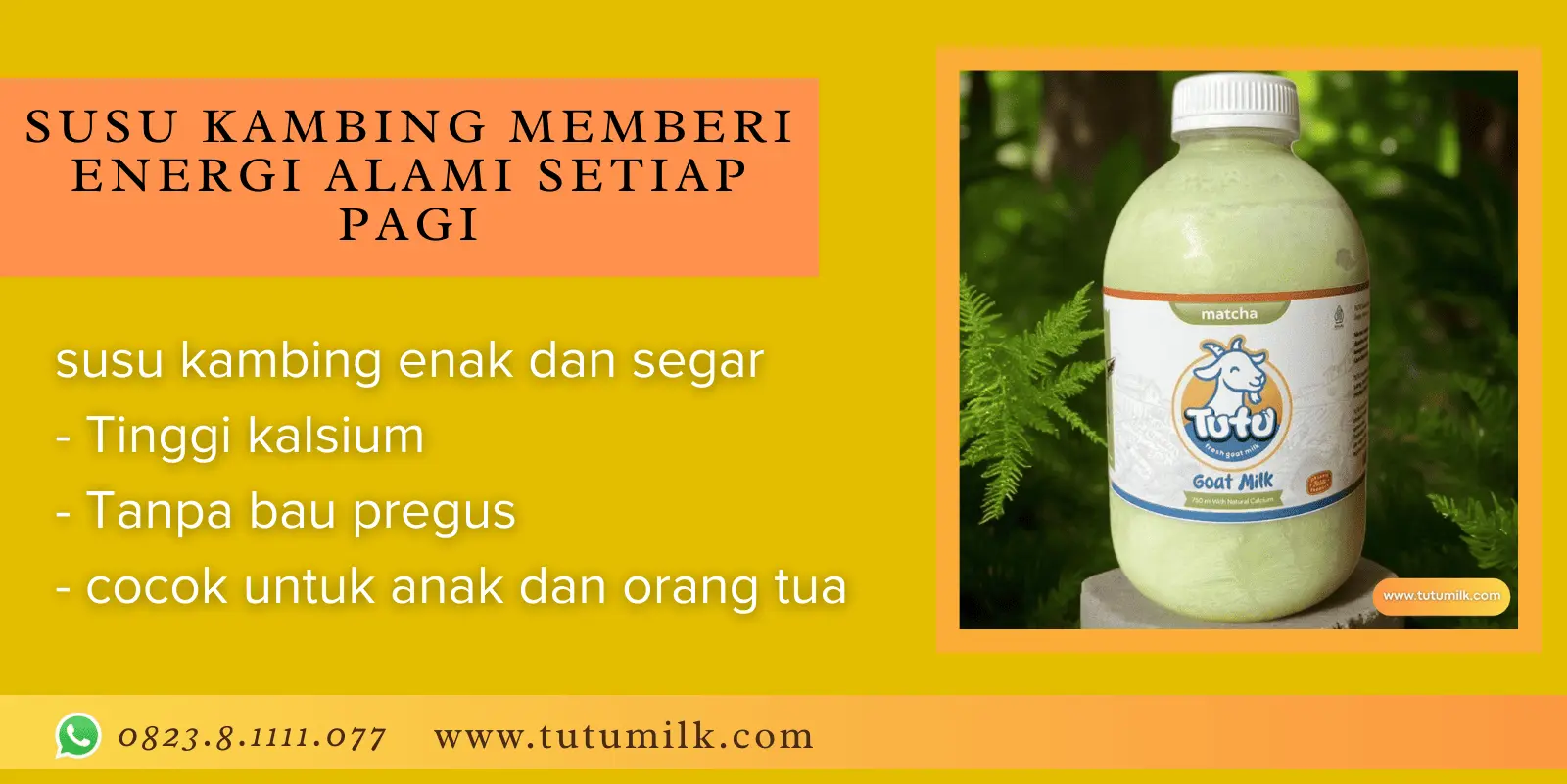 Susu kambing memberi energi alami setiap pagi